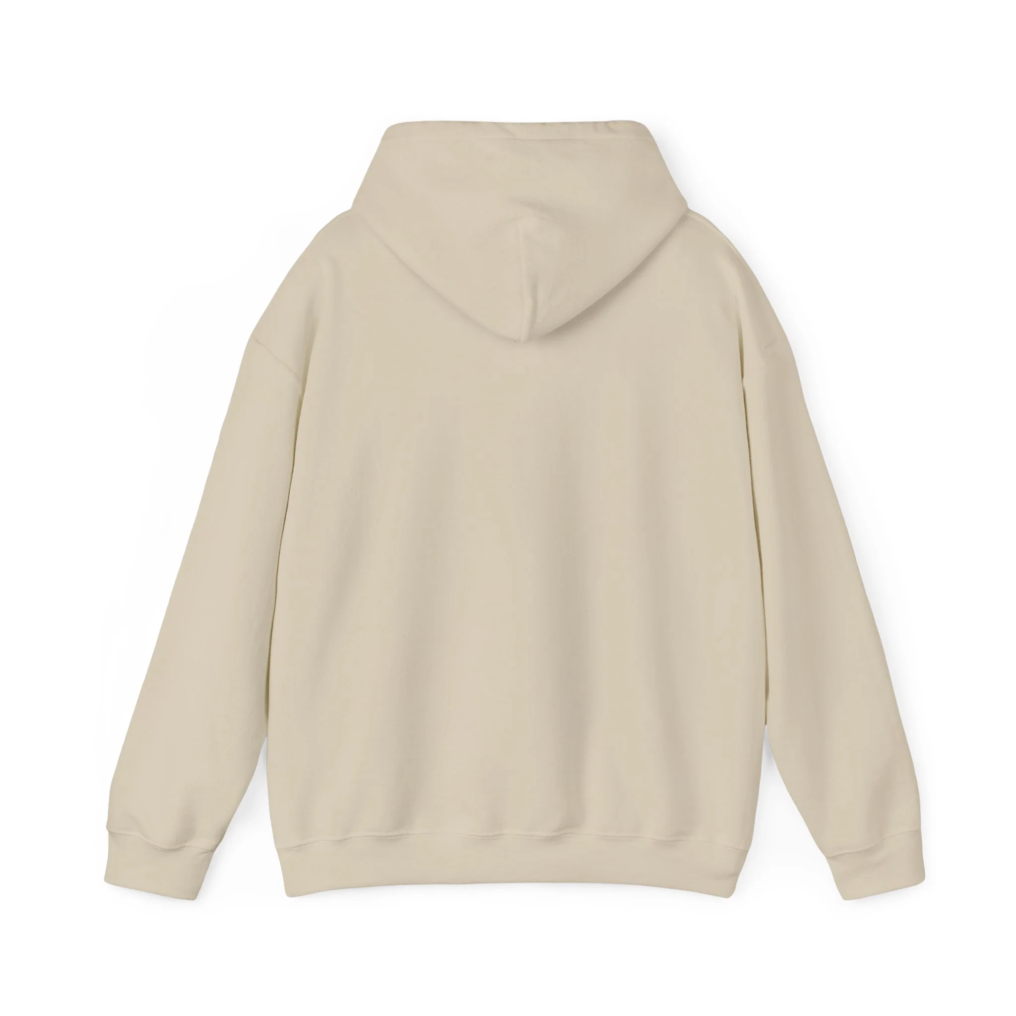 SuicideBoys Either Hated or Ignored Hoodie v1 - Image 11